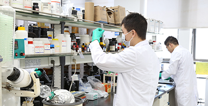 腾博会官网 - 诚信为本,专业效劳!